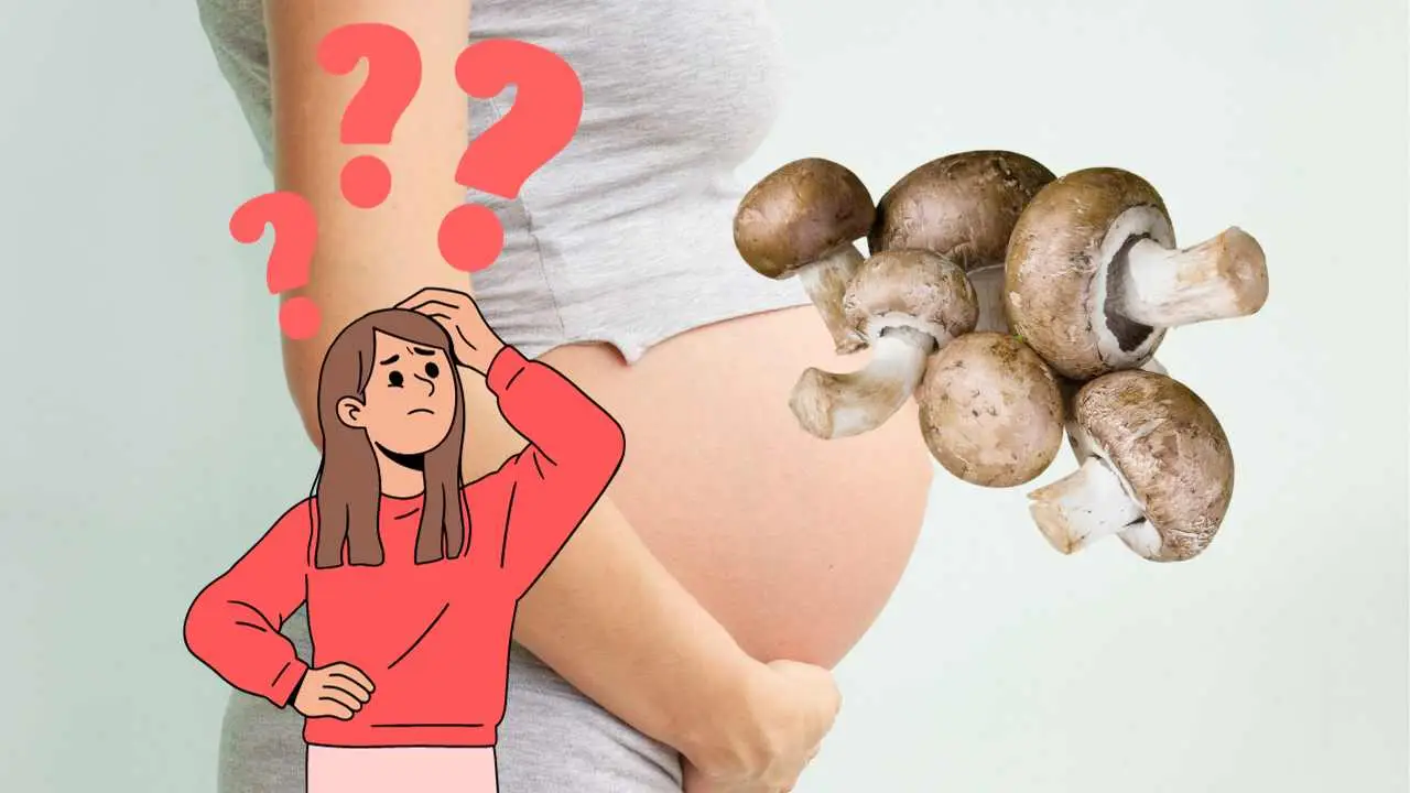 Mangiare funghi: benefici e rischi da conoscere