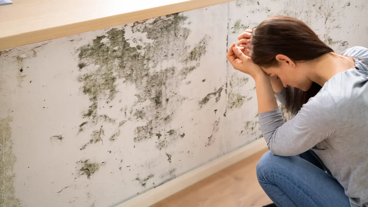 Cinque consigli per eliminare l’odore di umidità in casa: ecco le soluzioni naturali più efficaci