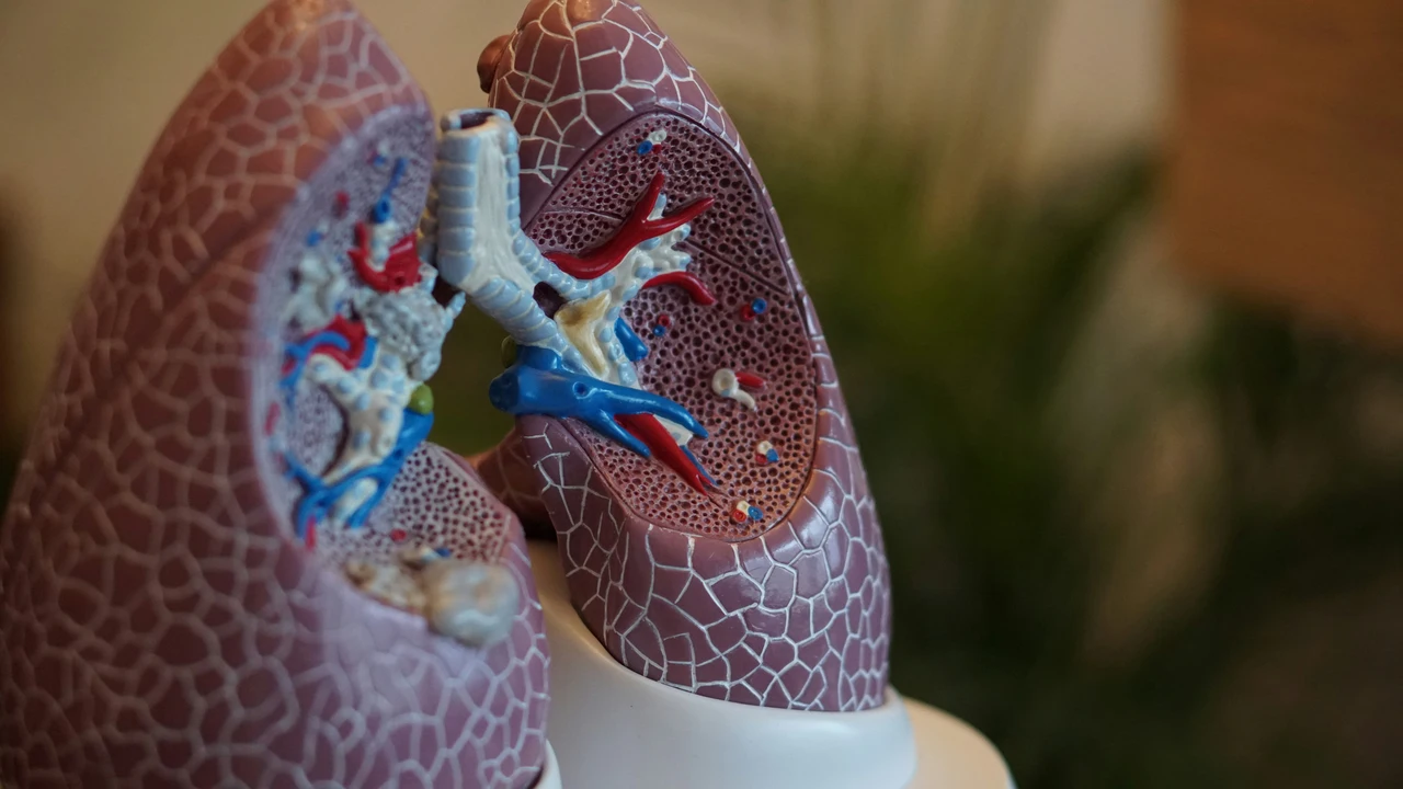 Ecco quanto dovresti riuscire a trattenere il respiro per avere polmoni sani