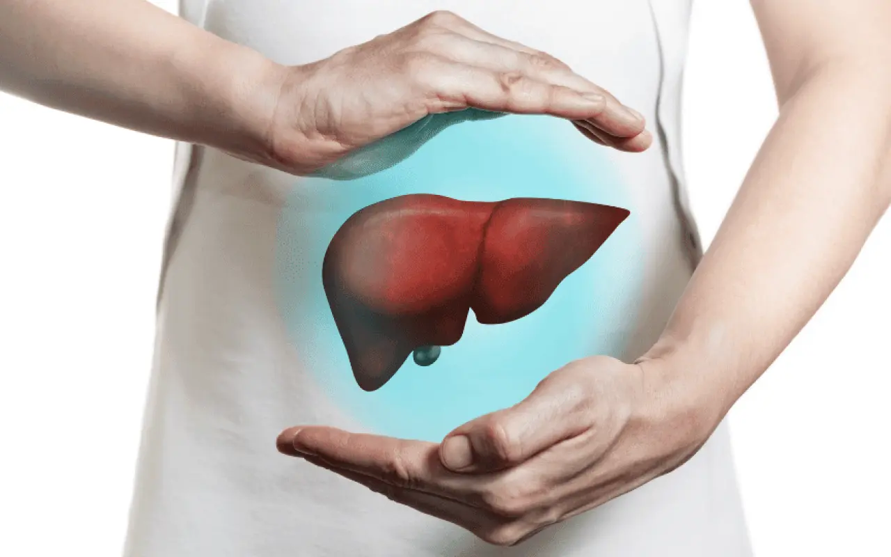 Gli alimenti che fanno bene al fegato e al pancreas: ecco quali sono