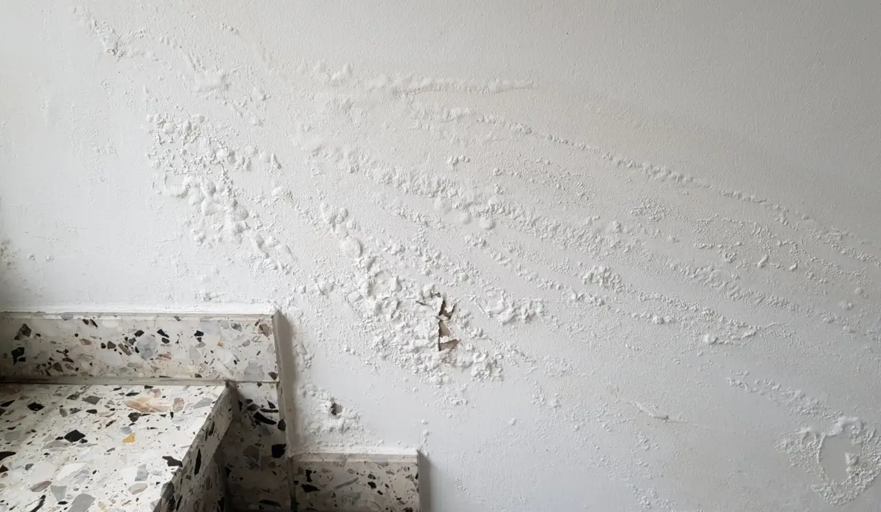 Macchie nere sui muri? Ecco il trucco per pulirli senza dover ritinteggiare