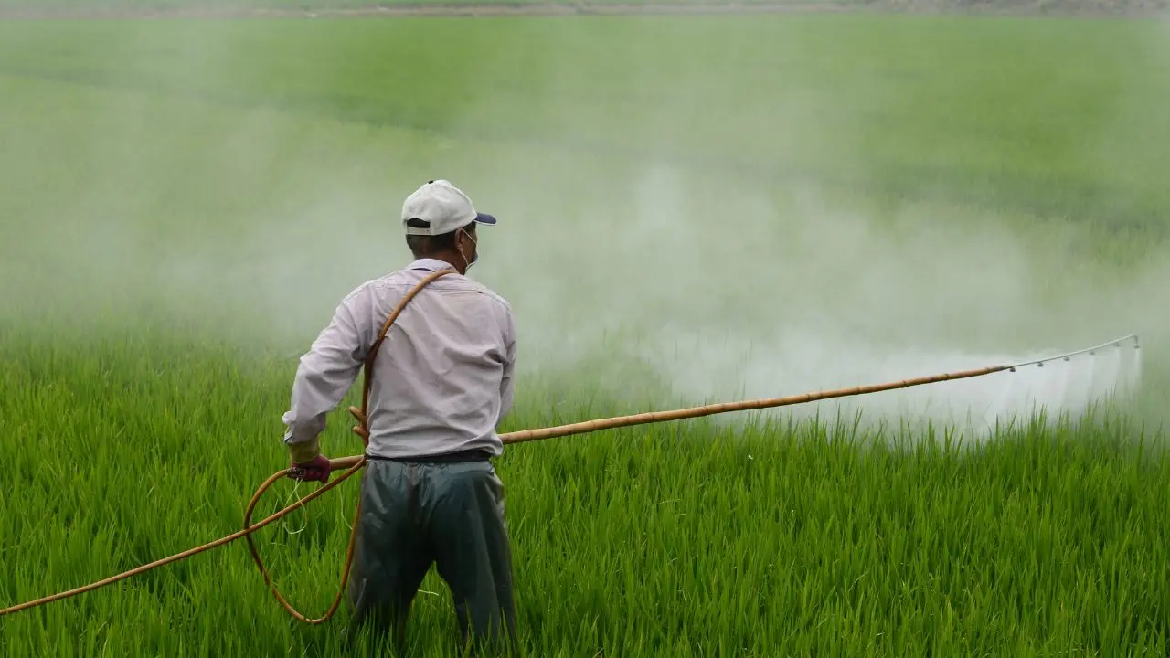 Disinfestazioni chimiche: ecco quali sostanze vengono utilizzate e quanto sono pericolose