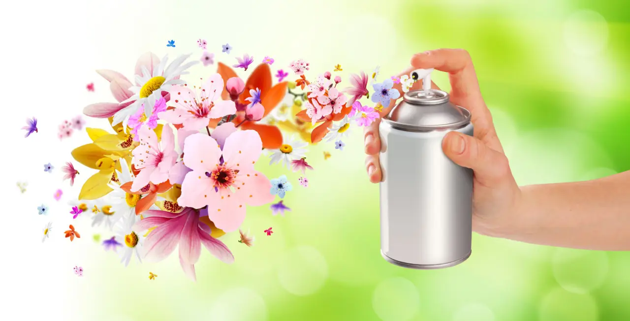 Ricetta facile per uno spray alla menta che profuma la casa e allontana gli insetti