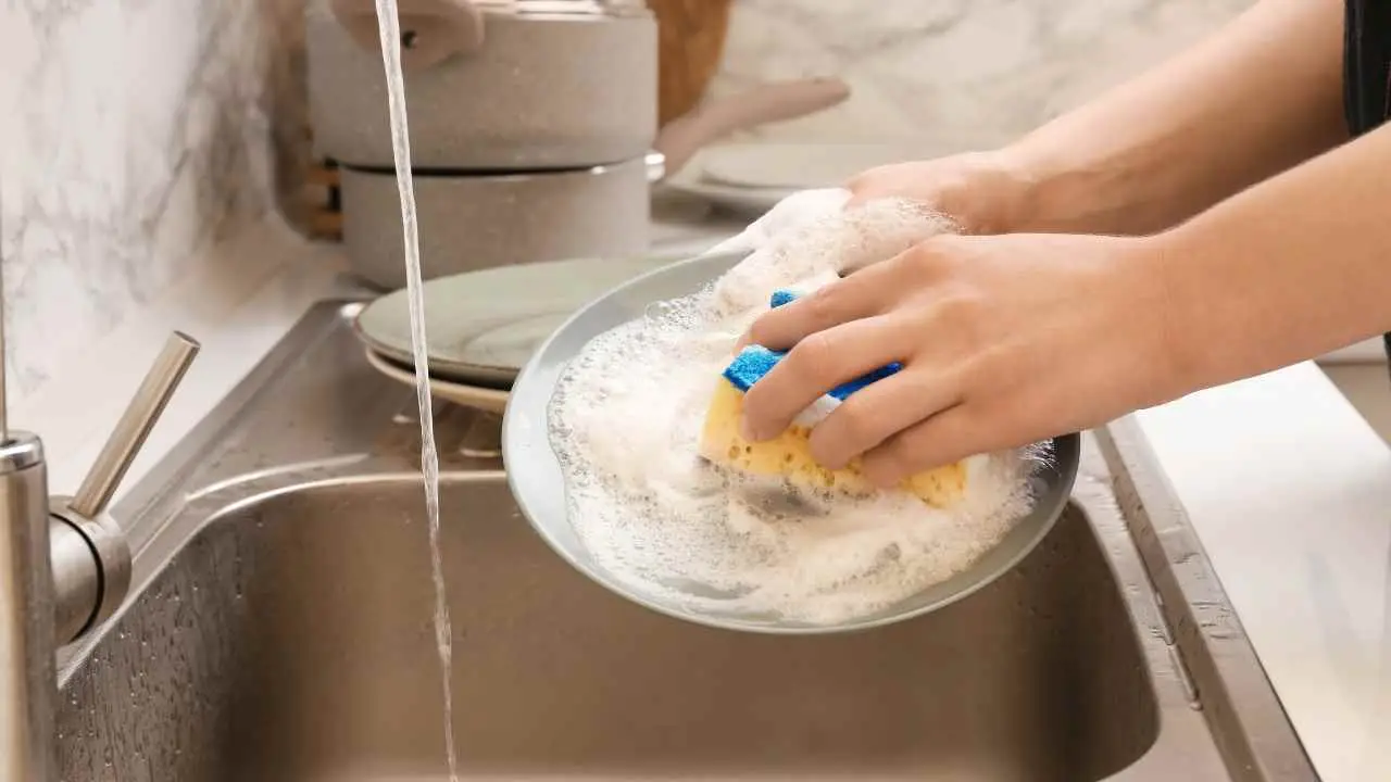 Come si fa a disinfettare la spugna dei piatti? L’errore che la rende un nido di batteri