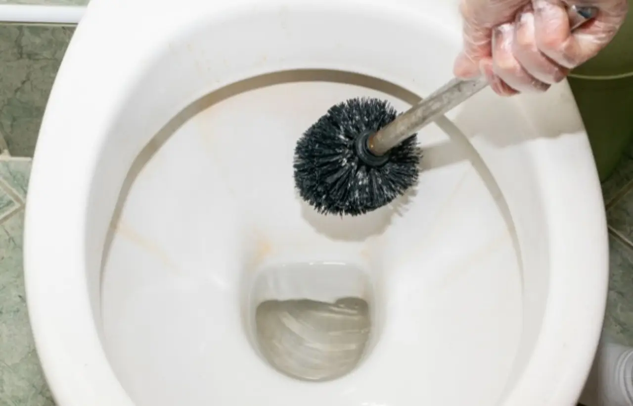 Come togliere il nero dal fondo del water: ecco cosa fare