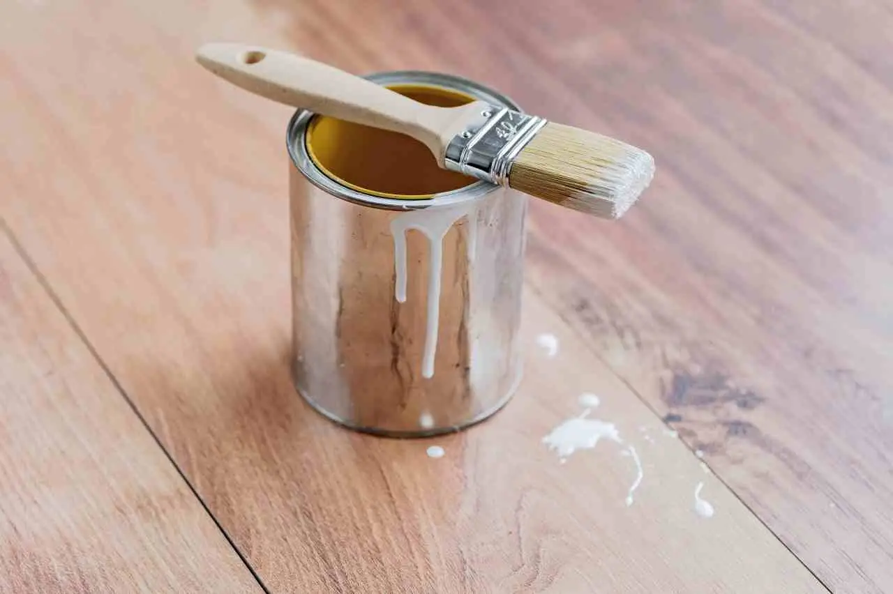 Come si fa a togliere l’odore di vernice fresca da una stanza? I rimedi naturali che assorbono