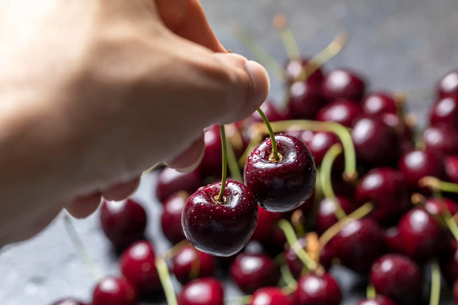 Mangiare ciliegie: ecco gli effetti sul sonno
