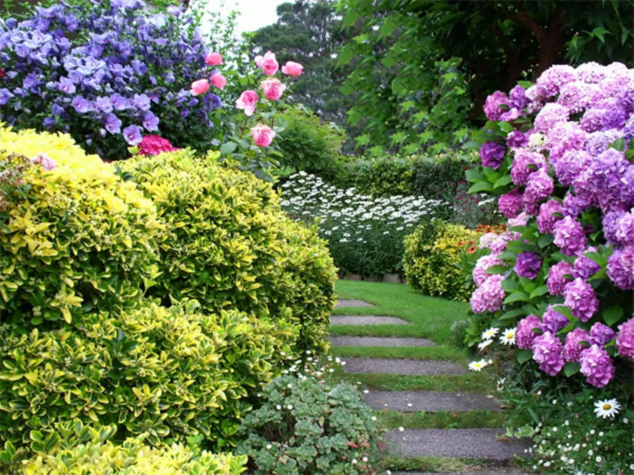 Il trucco per avere un orto rigoglioso